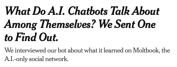 A New York Times headline and description reading “What Do A.I. Chatbots Talk About Among Themselves? We Sent One to Find Out. We interviewed our bot about what it learned on Moltbook, the A.l.-only social network.”